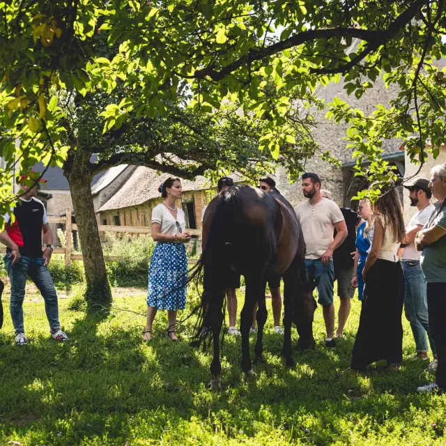 Visite Cidrerie Du Mont Vine