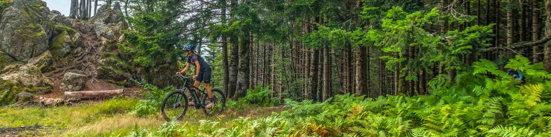 Mountain biking in the Bourbonnaise Mountains