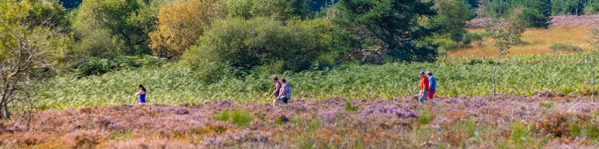 Randonnée en Montagne bourbonnaise