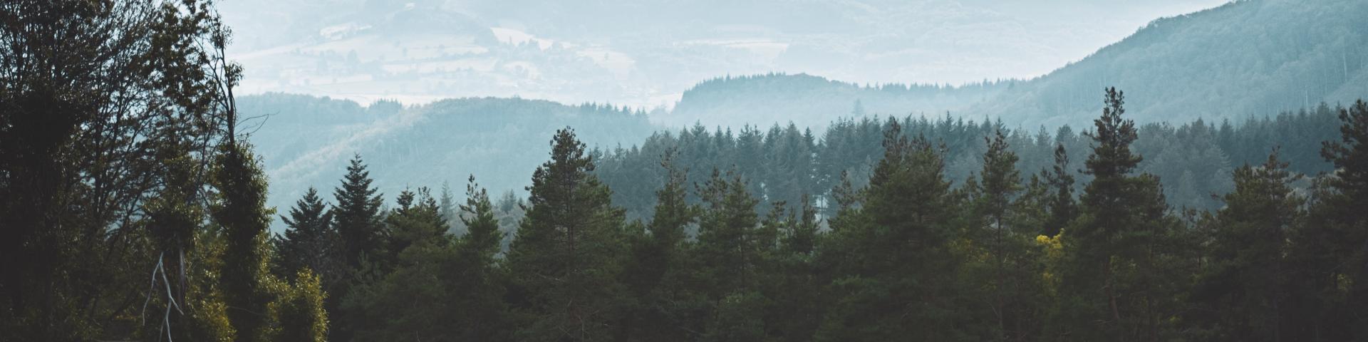 Point de vue sur la Montagne bourbonnaise