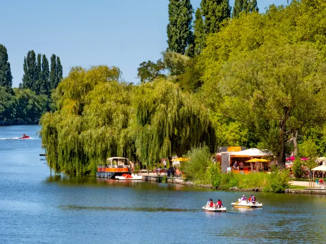 Les berges de l'Allier