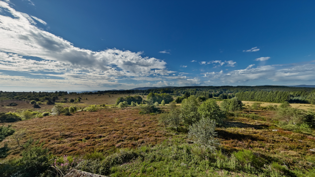 Plateau De La Verrerie
