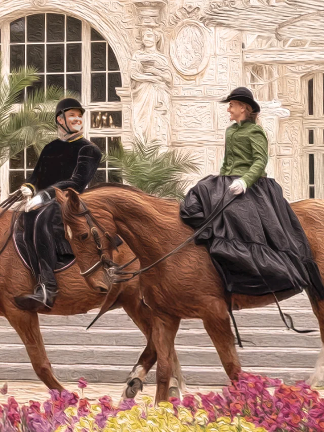 Couverture Napoleoniii