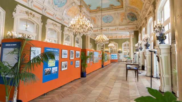 Xavier Thomas - 06 85 22 21 14 - xavierthomas.pro@gmail.com