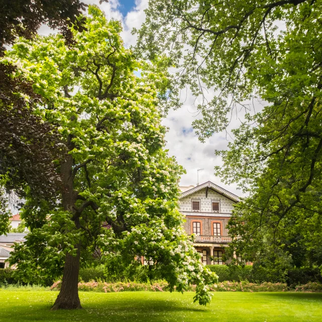 Communication assistant