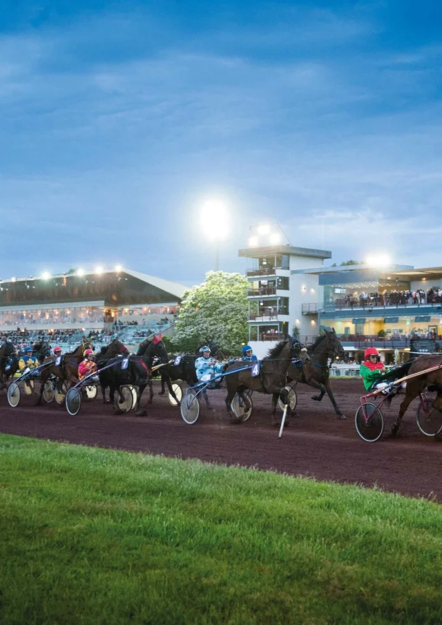 Photo De Couverture Hippodrome