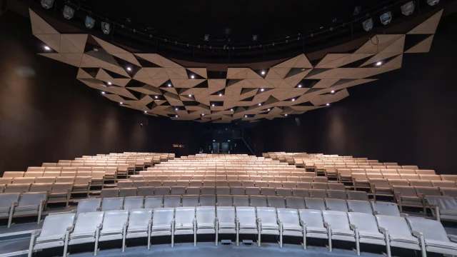 Julien Alexandre Vichy Mon Amour Dscf2606