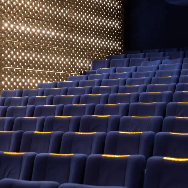 Dsf4348 Avec Accentuation Bruit