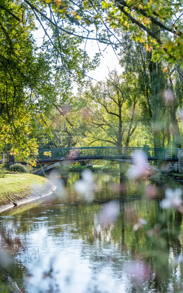 Julien Alexandre Vichy Mon Amour 0119