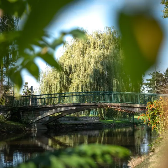 Julien Alexandre Vichy Mon Amour 0144