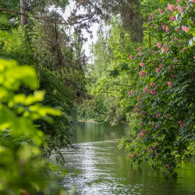 Julien Alexandre Vichy Mon Amour 0697