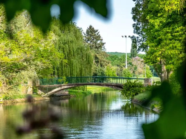 Julien Alexandre Vichy Mon Amour 0713