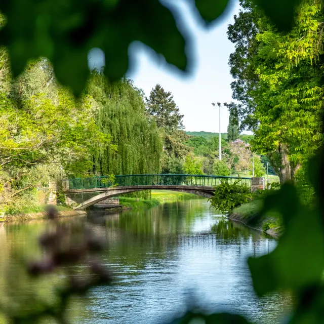 Julien Alexandre Vichy Mon Amour 0713