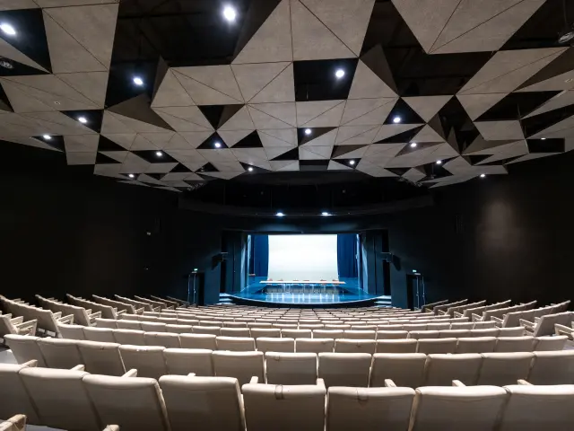 Julien Alexandre Vichy Mon Amour Dscf2603