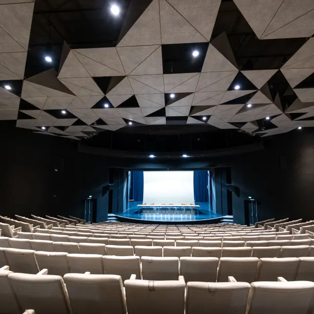 Julien Alexandre Vichy Mon Amour Dscf2603