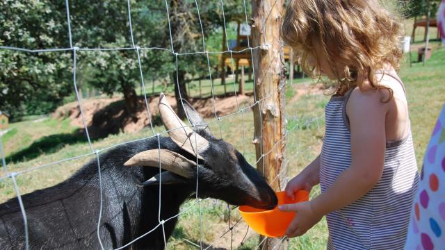 Animaux ferme du Duzou Aveyron