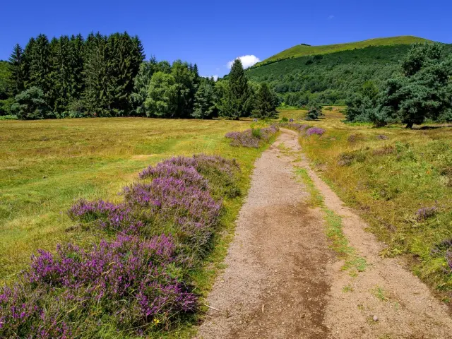 Parc Volcan Auvergne