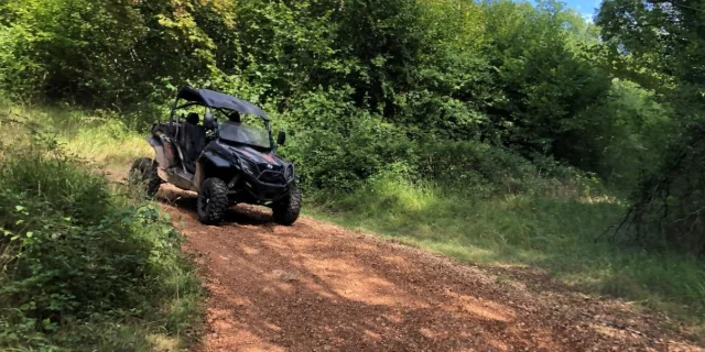 Buggy Perigord Black