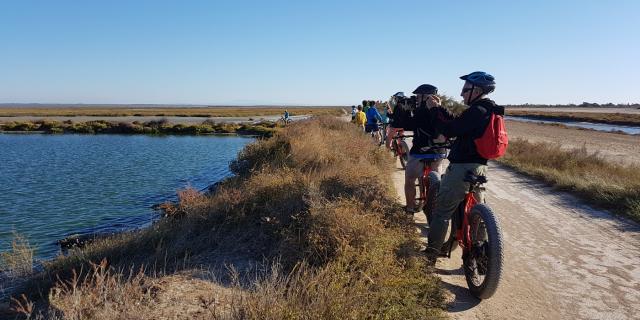 Vtt Salines