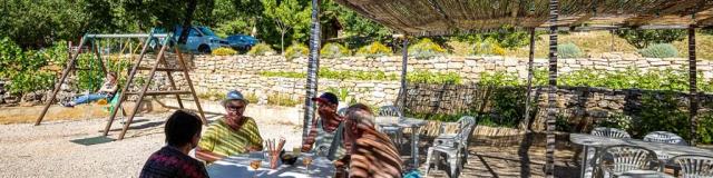 On the terrace of the olive grove