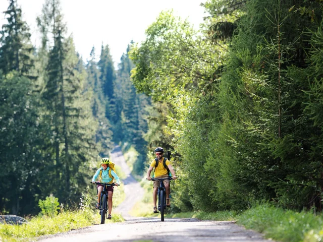 Happy family with small children cycling outdoors in summer nature.