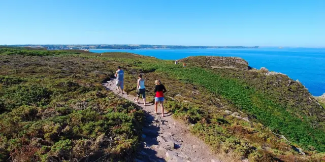 Bretagne FREHEL Balade Bord De Mer