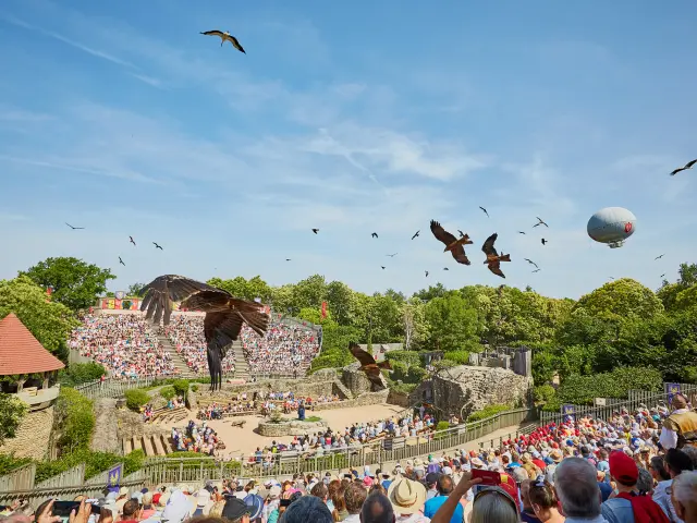 Vendee Le Puy Du Fou Spectacle Faucons