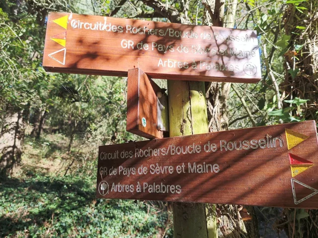 Vendee Rando Pancartes