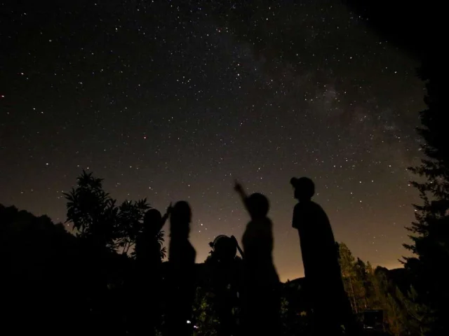 Personnes Montrant Les Etoiles Reduite