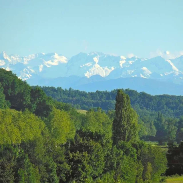 Location Gite Fevrier Vacances Hiver Paysage Sud Ouest Dans Le Gers