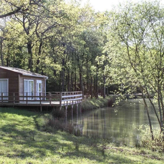 Gite De Peche Hebergement Deux Sevres Etang De Peche Heronniere Reduite
