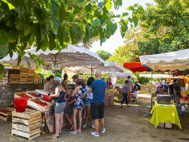 Villagedegites Fontinelle Ardeche 7 Tourisme Gorges Villages Sud Ardeche 11 Les Marches Ardechois Regorgent De Fruits Et Legumes De Saisons 324 1605815324 Reduite