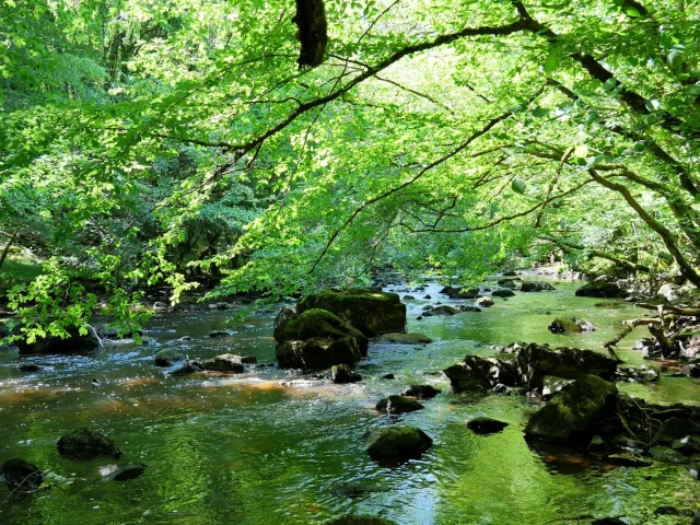 Creuse Riviere Natuur