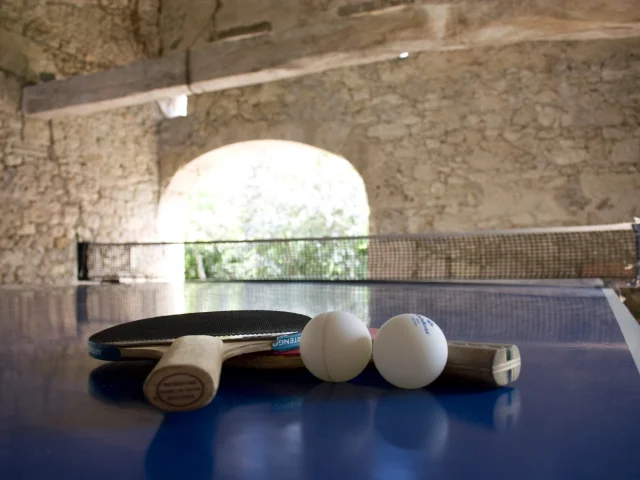 Domaine De La Brette Loisirs Ping Pong