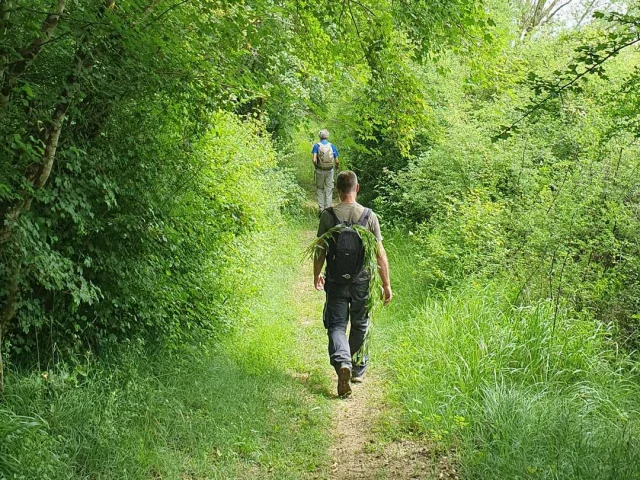 Domaine De La Brette Gers Wandelen