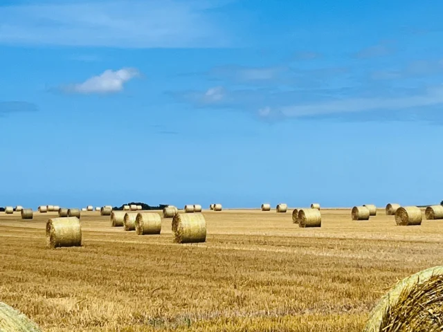 Normandië Seine Maritiem Toerisme Velden Stro Zomeroogst Ble Landschap Landbouw