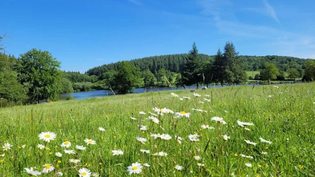 Vdg Etang Des Portes Creuse 02 View Park Reduite