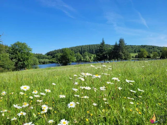 Etang Des Portes Creuse Parkzicht
