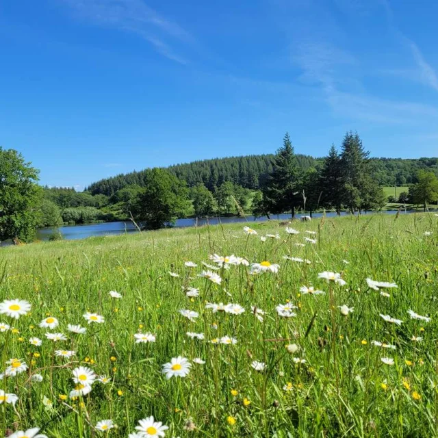 Vdg Etang Des Portes Creuse 02 View Park Reduite