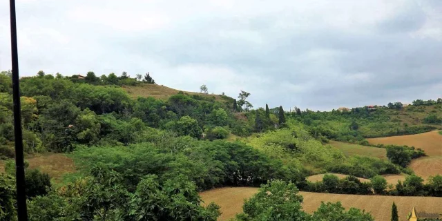 Location Gite Vacances Tarn Tourisme Lautrec Paysage Du Tarn