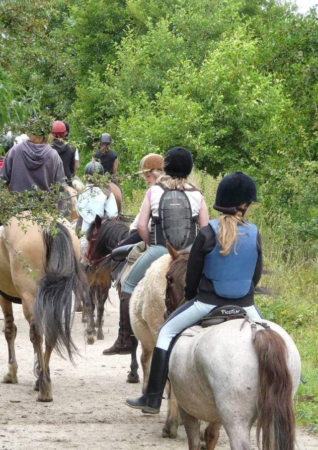 Gites Hauts De France Gite Equestre Balade A Cheval