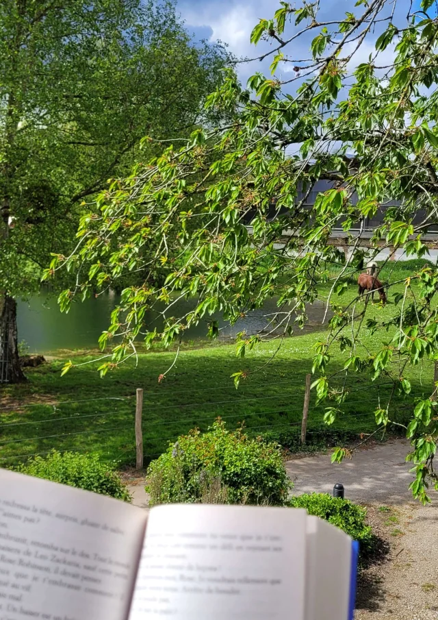 Gites Hauts De France Vacances Lecture Au Calme Dans La Nature