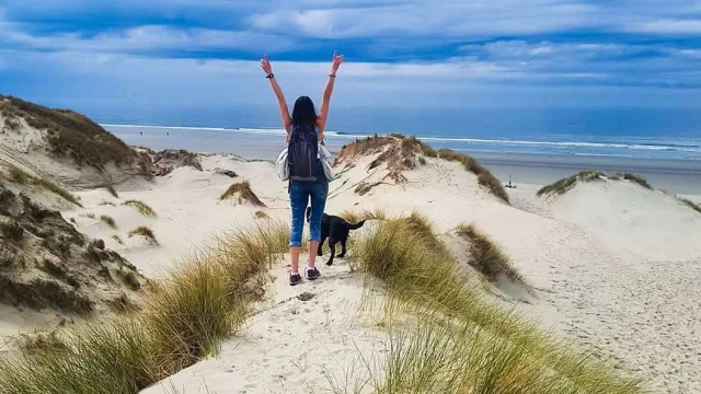 Book Gite Holiday Rental Gites Baie De Somme Promenade Plage