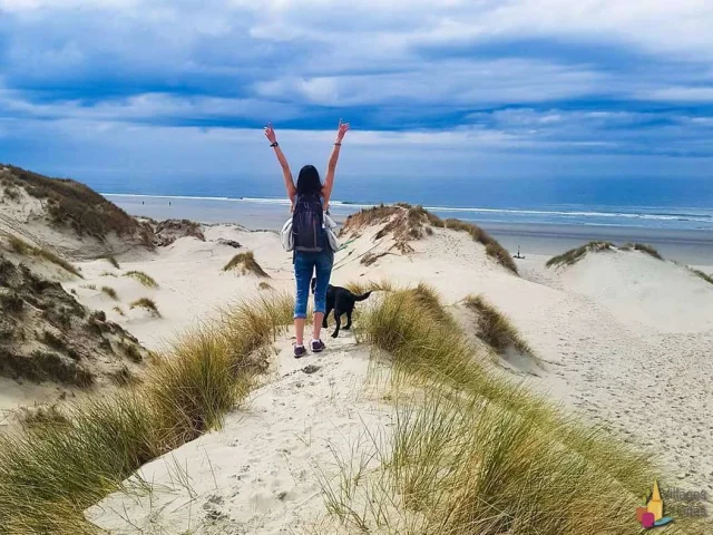 Book Gite Holiday Rental Gites Baie De Somme Promenade Plage