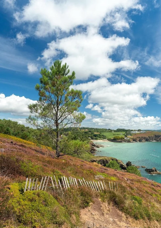 Reserver Gite Location Vacances Gites Finistere Paysage Portrait