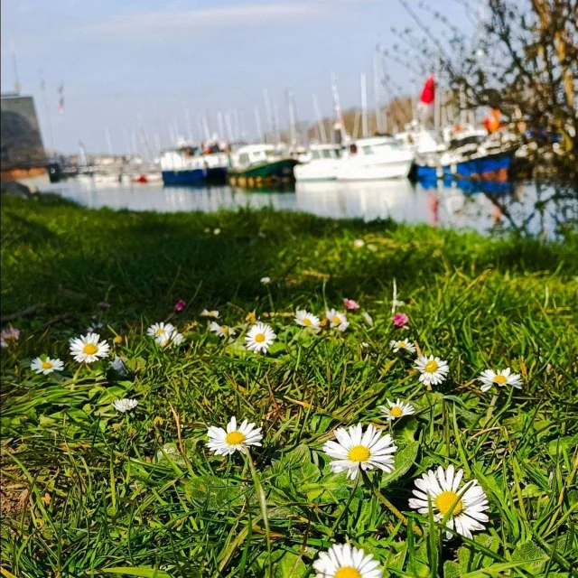 Reserver Gite Location Vacances Gites Saint Valery Sur Somme