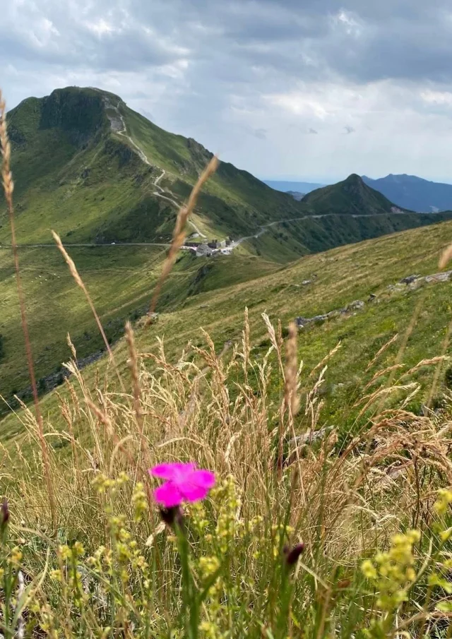 Gite Location Montagne Vacances Cantal Puy Mary