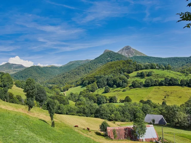 Gite Rental Mountain Holidays Cantal Les Puys Landscape Nature