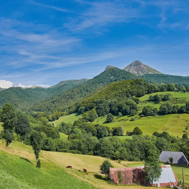 Gite Rental Mountain Holidays Cantal Les Puys Landscape Nature