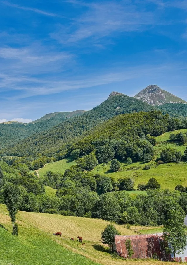 Gite Location Montagne Vacances Cantal Les Puys Paysage Nature
